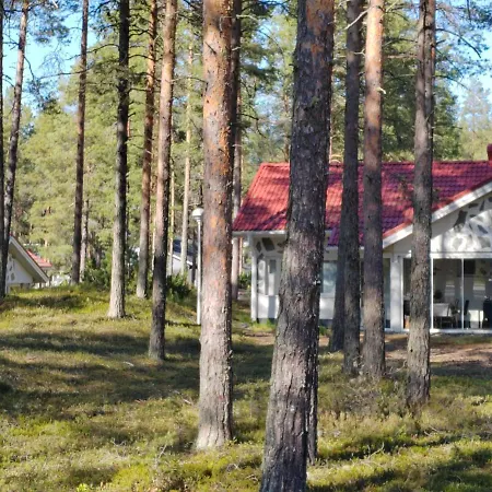 Lomasaerkkae *