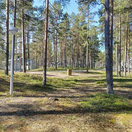 Lomasaerkkae